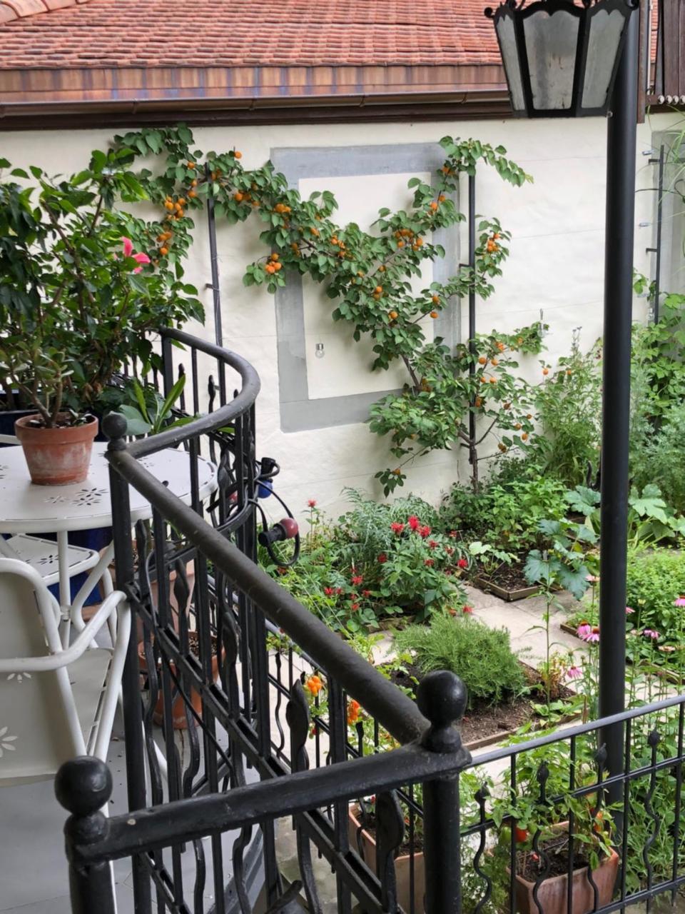 Good4Yew Bnb Zürich Exterior foto