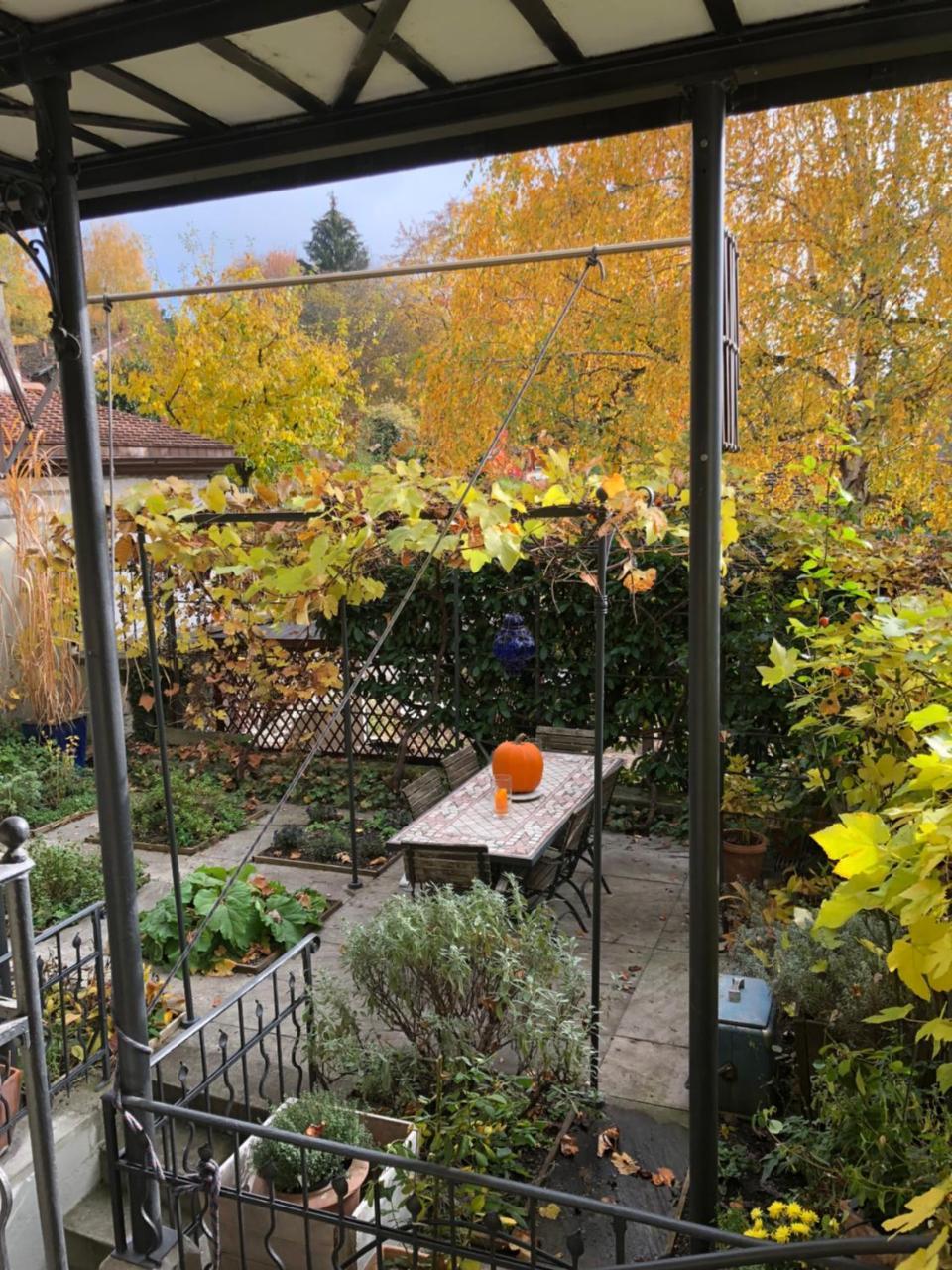 Good4Yew Bnb Zürich Exterior foto